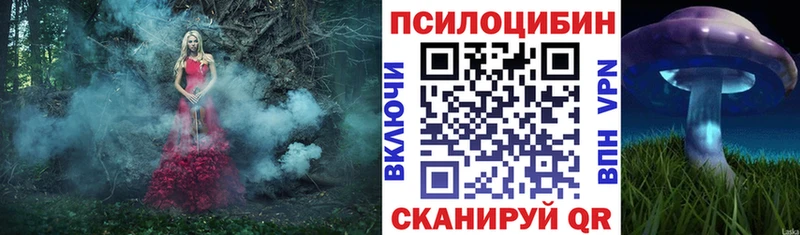 Галлюциногенные грибы Psilocybe МЕГА сайт Ленск